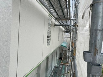 IMG_6479-1-columns2