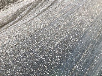 ダイヤスキン