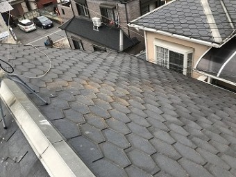 屋根の全体
