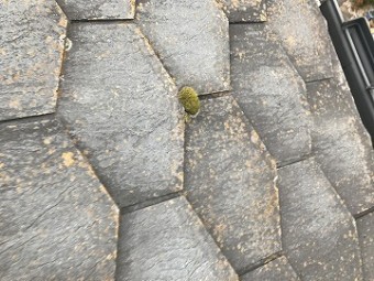 瓦の状態