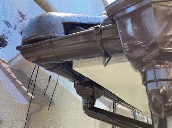 IMG_7808-columns2