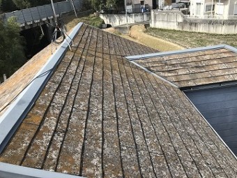 既存の屋根