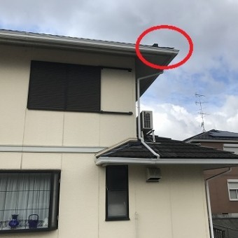さし棟の被害