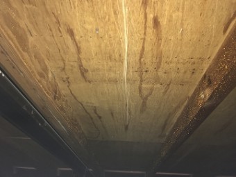 天井裏の雨染み