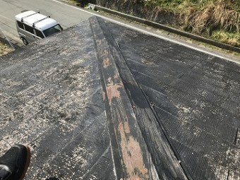棟板金 応急処置