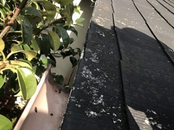 被災した雨樋