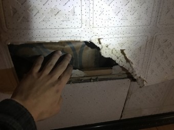 雨漏り箇所