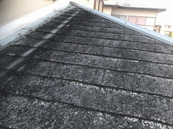 下屋根の様子