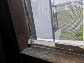 雨漏り被害箇所