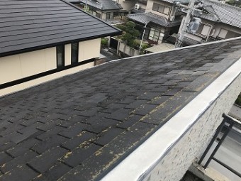 屋根 全体写真