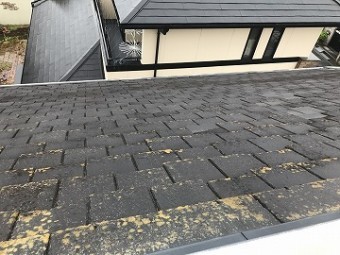 瓦の欠け