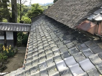 茅葺き屋根