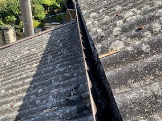 雨樋