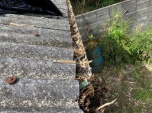 雨樋掃除