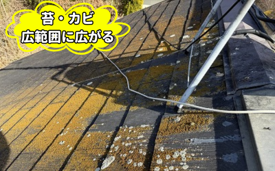 奈良市スレート屋根オレンジ色の苔とカビ