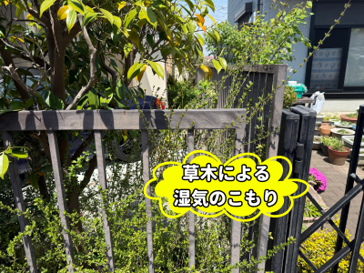 安堵町フェンス草木による湿気のこもり状態