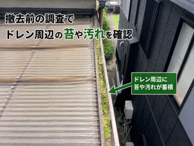 桜井市 ドレン周辺に苔や汚れが蓄積
