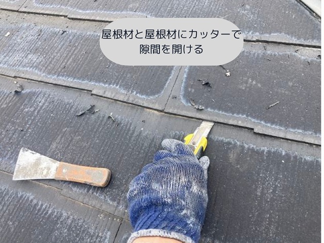 カラーベスト　塗膜切り取