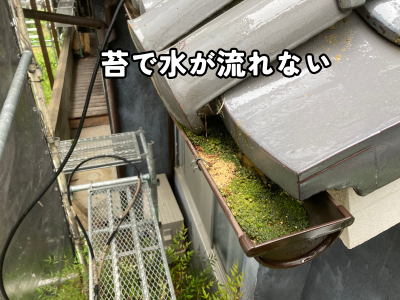 奈良市の住宅で苔や汚れが蓄積し排水機能が低下している軒樋の現状