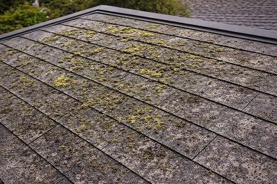天理市住宅の屋根にコケや汚れが発生している劣化状態