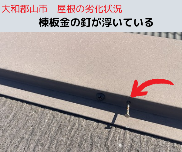 棟板金の釘抜け