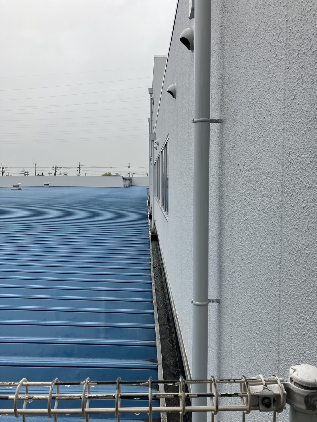 奈良市の工場で天井雨漏り樋のドレンの繋ぎ目が原因の現場調査！！