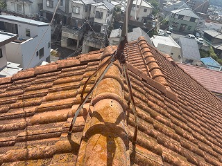 屋根全体の苔付着