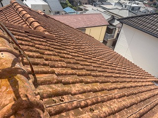 棟付近から見た屋根