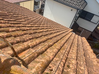 瓦表面の苔と汚れ