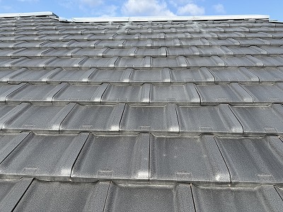 大屋根全体の調査状況