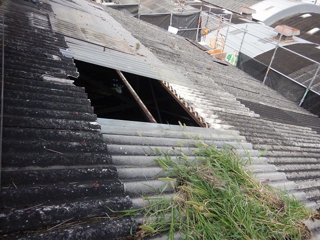 三郷町　昭和の時代からのスレート屋根の補修工事はとても危険で大変な作業状況です