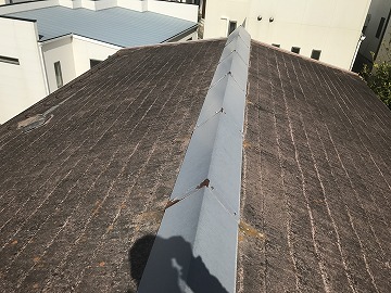 屋根の全体写真