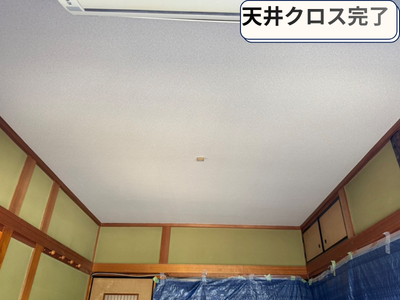 クロス設置完了