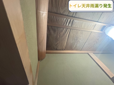 天井雨漏り発生