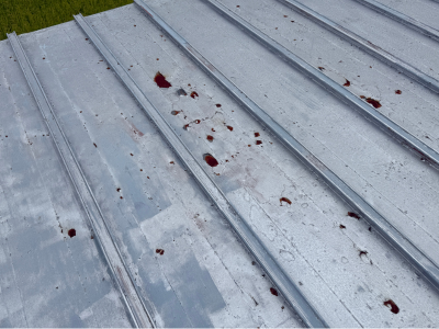 橿原市で鉄板屋根の塗り替え時期とは放置は危険?弊社は使う塗料はいいの?