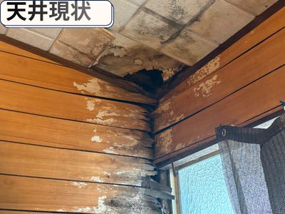 天井現状