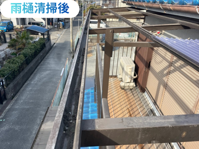 雨樋清掃