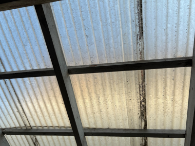 田原本町にて波板交換のご検討の方向け！下地が木製の場合！腐食の危険性！