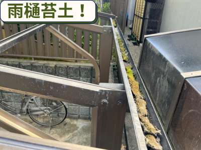 雨樋現状