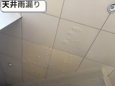 天井雨漏り