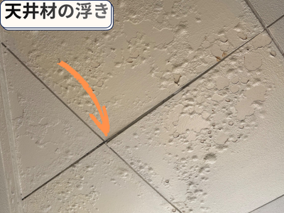 天井材雨漏り