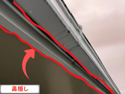 鼻隠し説明