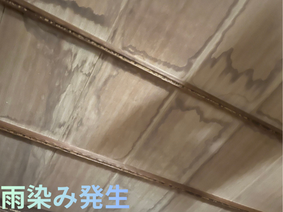 天井雨漏り
