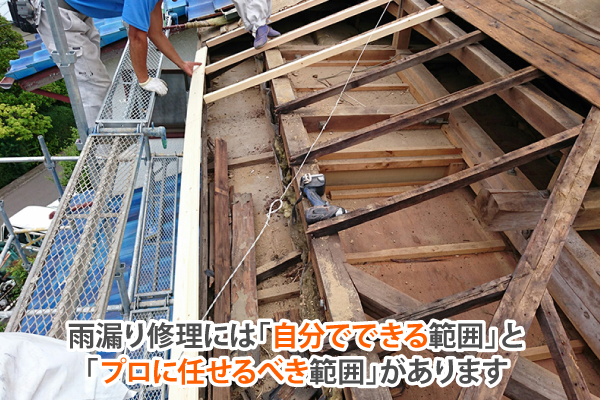 雨漏り修理には「自分でできる範囲」と「プロに任せるべき範囲」があります